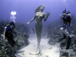 Mermaid and friends Sunset House Grand Cayman Island. Oly... by Steven Pahel 